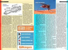 MIGS Gazeta Lokalna 1 2013 strona 5