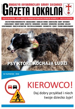 MIGS Gazeta Lokalna 2-2013 strona 1