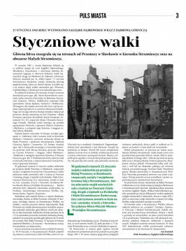 Przegląd Dąbrowski - luty 2016 r. strona 3